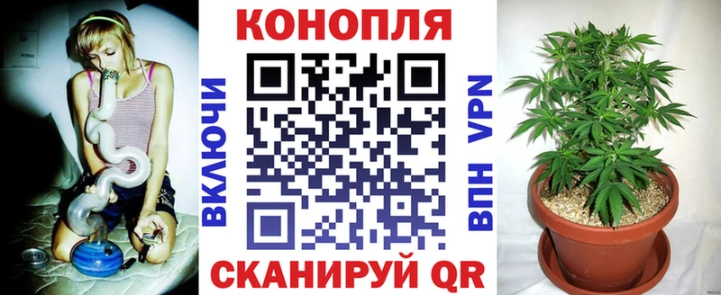 гидра Евпатория Каннабис планчик